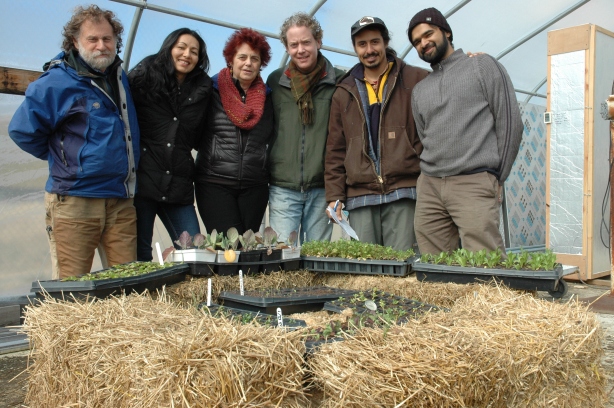 Staffers at ECO City Farms in Edmonston stand in front of a straw and compost “incubator” that nurtures seedlings in the plant nursery. From left to right, Benny Erez, Viviana Lindo, Margaret Morgan-Hubbard, Matthew Carucci, Christian Melendez and John Costa.